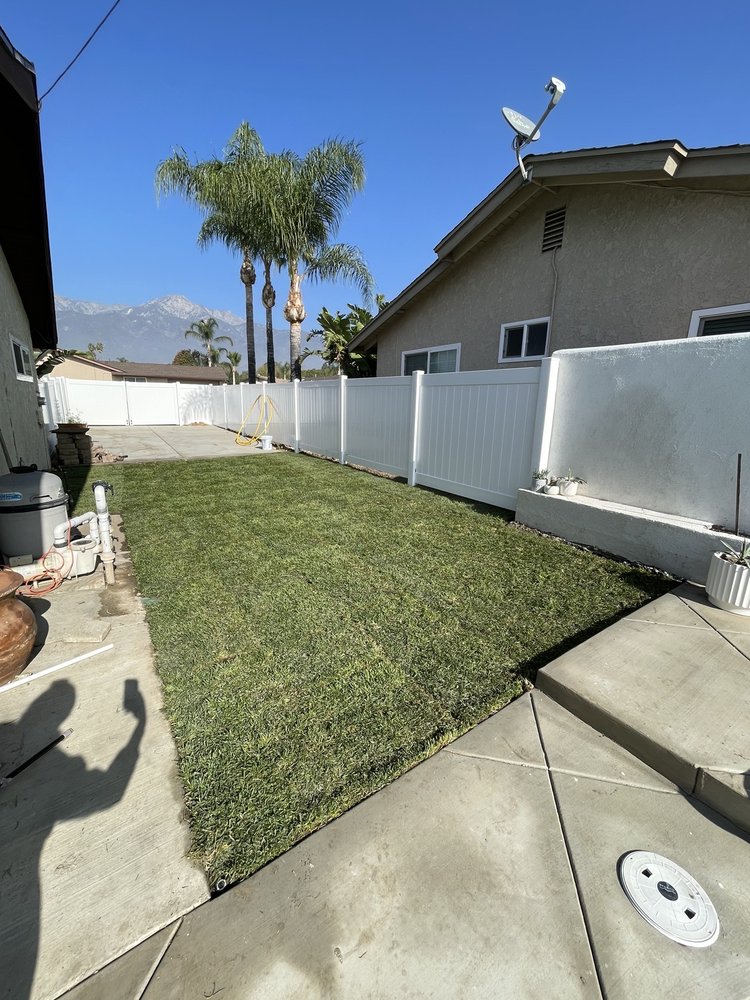 Tree trimming project by Juan's Gardening Service